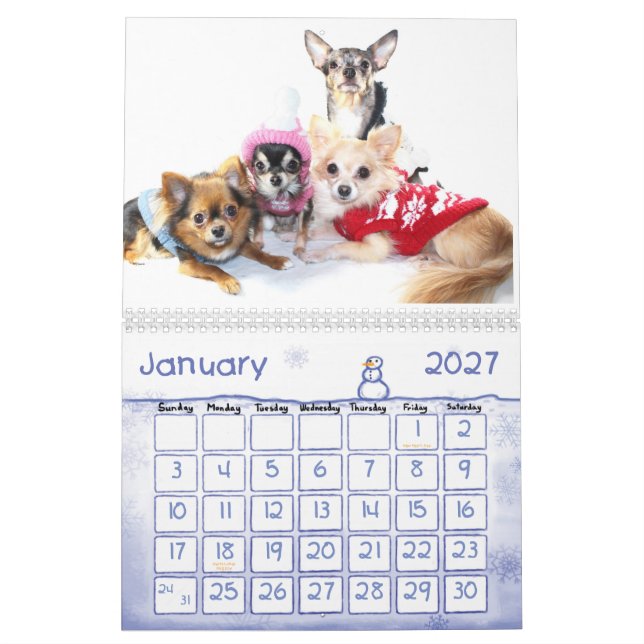 Calendário obsessivo da desordem da chihuahua 2013 (Jan 2027)