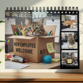 Calendário Office Fun Cats Photo Calendar 2026 / Business Cat
