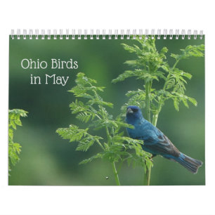 Calendário Ohio Birds em maio