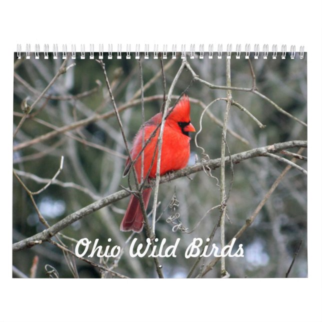 Calendário Ohio Wild Birds (Capa)