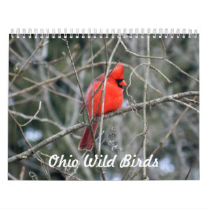 Calendário Ohio Wild Birds