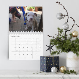 Calendário Olá, Pet Puppy Personalizado 2021