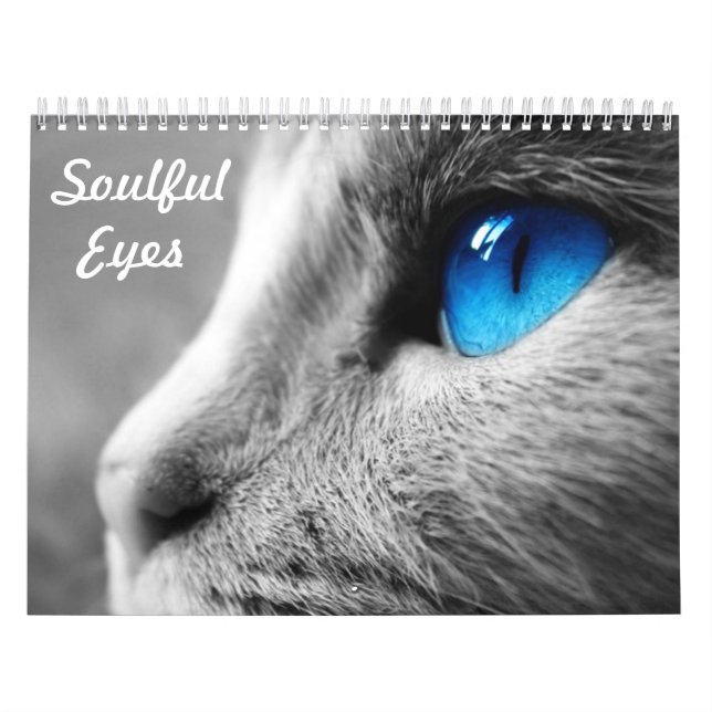 Calendário Olhos com alma do gato (Capa)