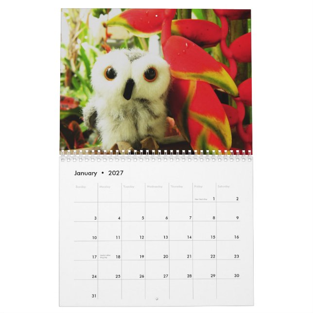 Calendário Ophelia e amigos 2009 (Jan 2027)