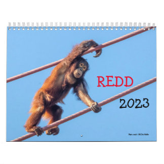 Calendário Orangutan Redd 2023