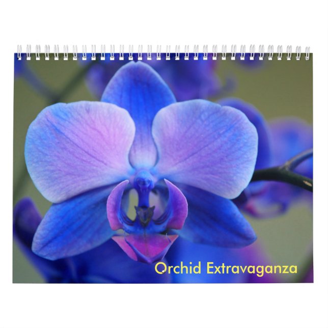 Calendário Orchid Extravaganza (Capa)