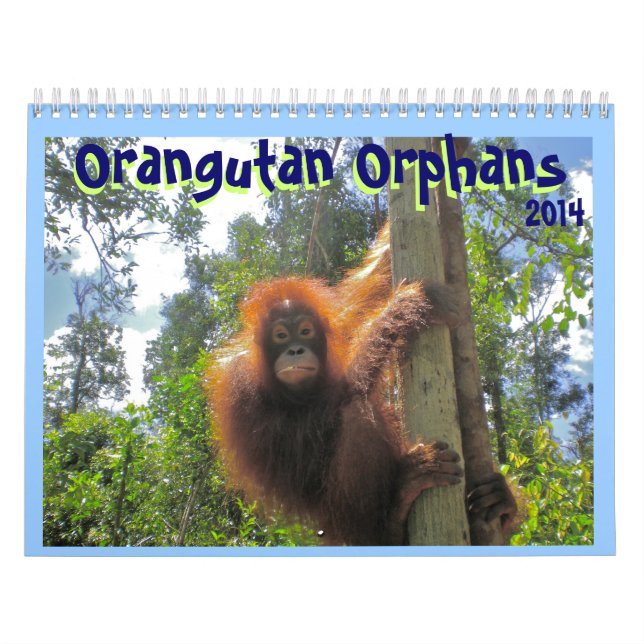 Calendário Órfão do orangotango (Capa)