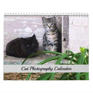 Calendário Original de Fotografia de Gatos Sgolis