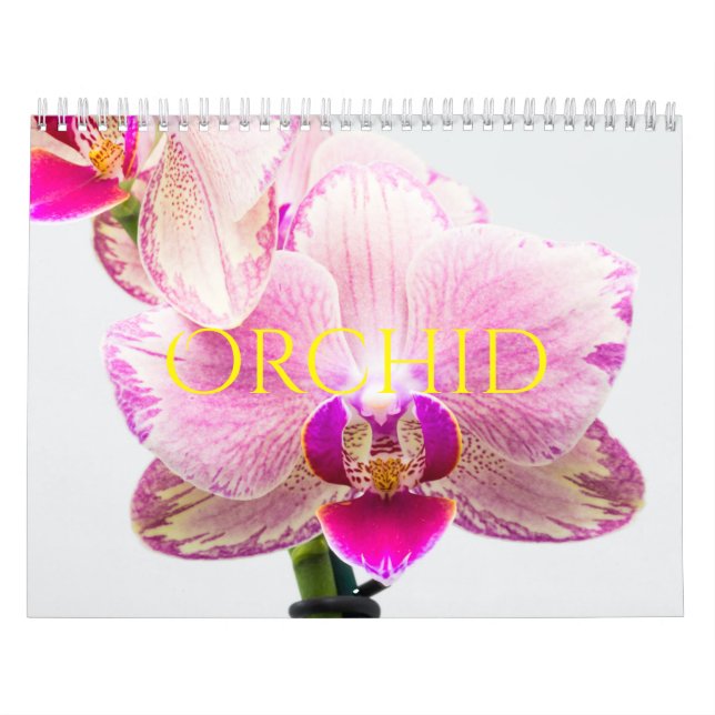 Calendário Orquídea (Capa)