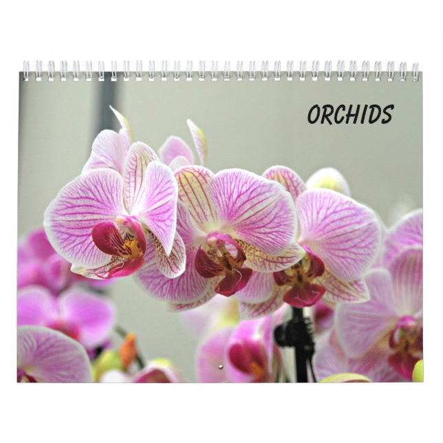 Calendário Orquídeas (Capa)