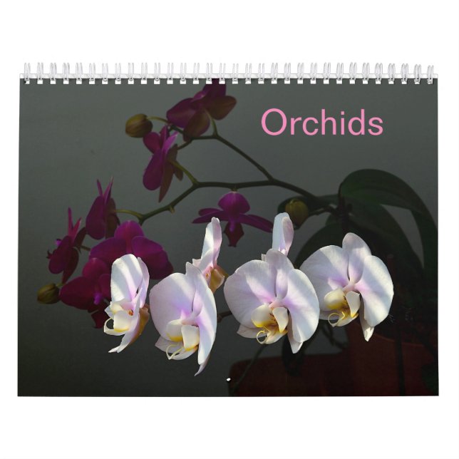 Calendário Orquídeas (Capa)