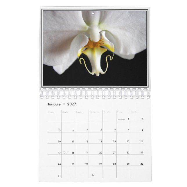CALENDÁRIO ORQUÍDEAS 2011 (Jan 2027)