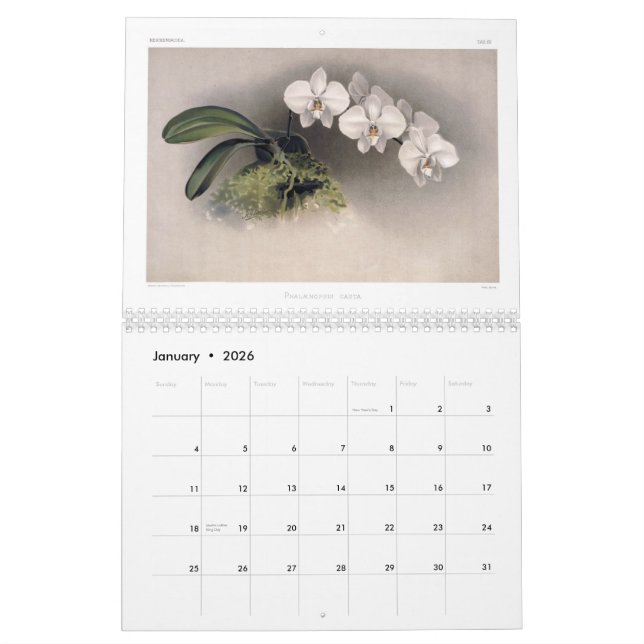 Calendário Orquídeas 2015 de Reichenbachia (Jan 2026)