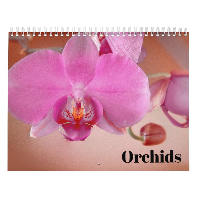 Calendário Orquídeas 2027 (Capa)