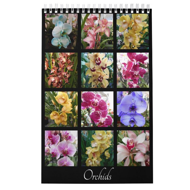 Calendário Orquídeas bonitas (Capa)
