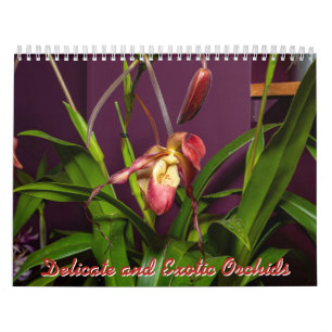Calendário Orquídeas Delicadas e Exóticas