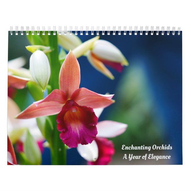 Calendário Orquídeas Encantadoras (Capa)