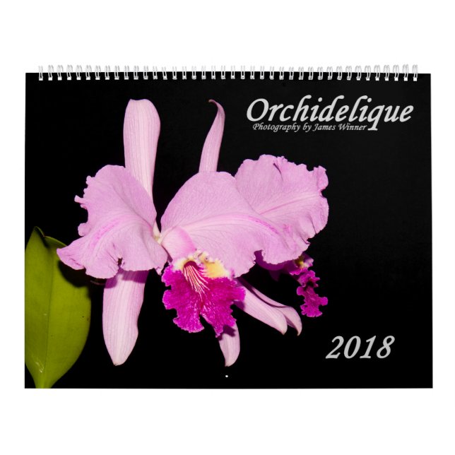 Calendário Orquídeas por Orchidelique (Capa)