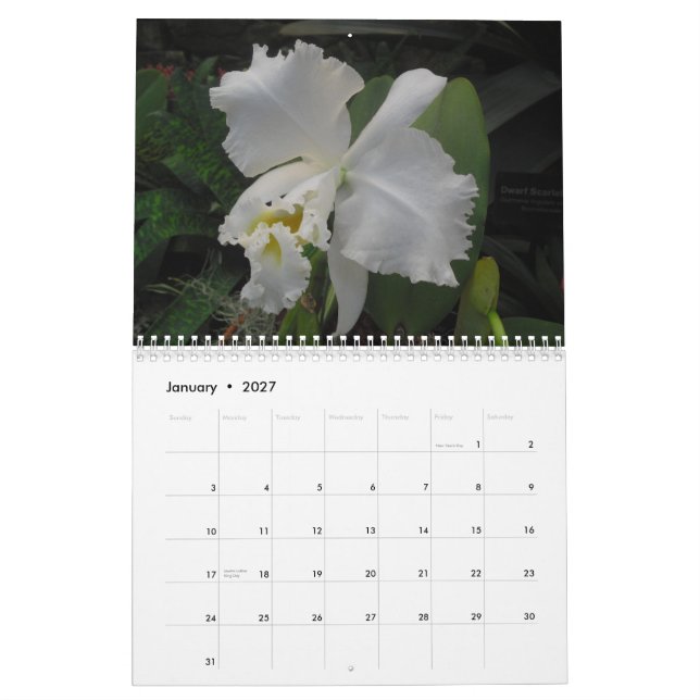 Calendário Orquídeas por Scott S. Jones (Jan 2027)