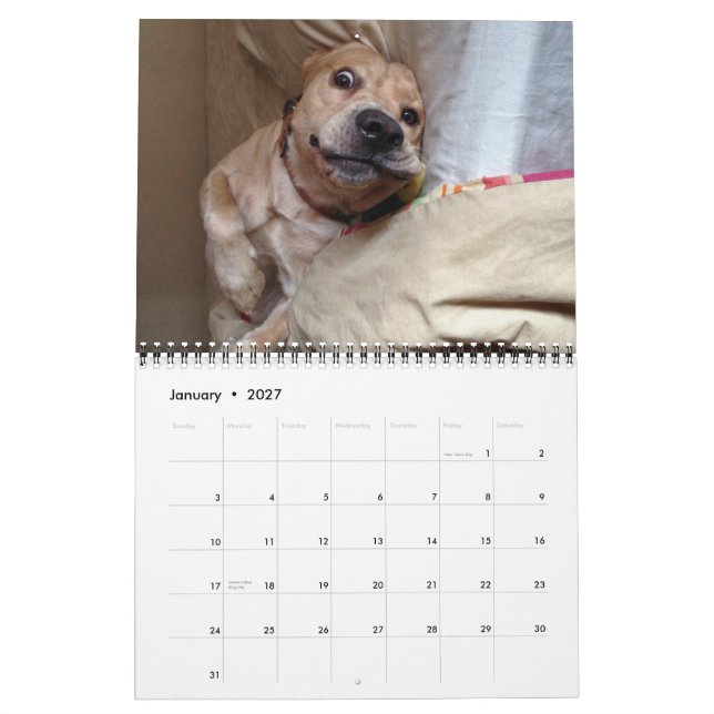 Calendário Os 2013 do "calendários meu punhal do cão" (Jan 2027)