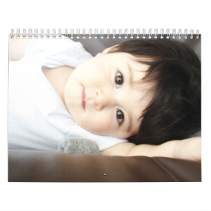 Calendário Os bebês Calendar 2012