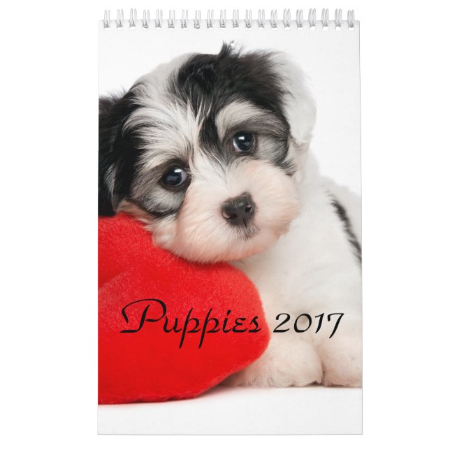 Calendário Os filhotes de cachorro Calendar 2017 (Capa)