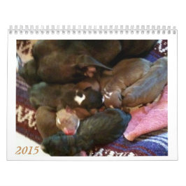 Calendário Os filhotes de cachorro de Pitbull crescem acima o