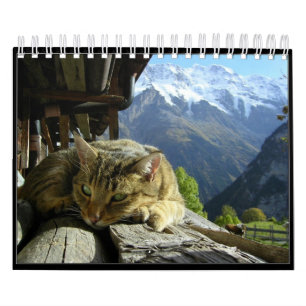 Calendário Os gatos Calendar 2012