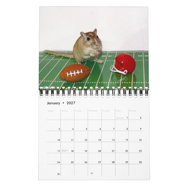 Calendário Os Gerbils Calendar (a reprodução) (Jan 2027)