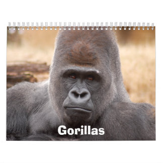 Calendário Os gorila Calendar, gorila