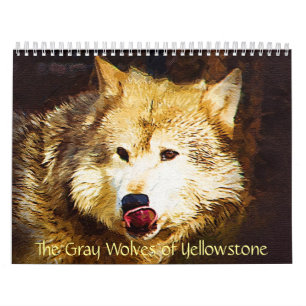 Calendário Os lobos cinzentos de Yellowstone