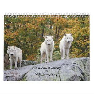 Calendário Os lobos de Canadá (calendário)