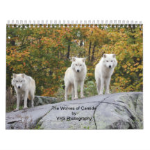 Os Lobos do Canadá (Calendário)
