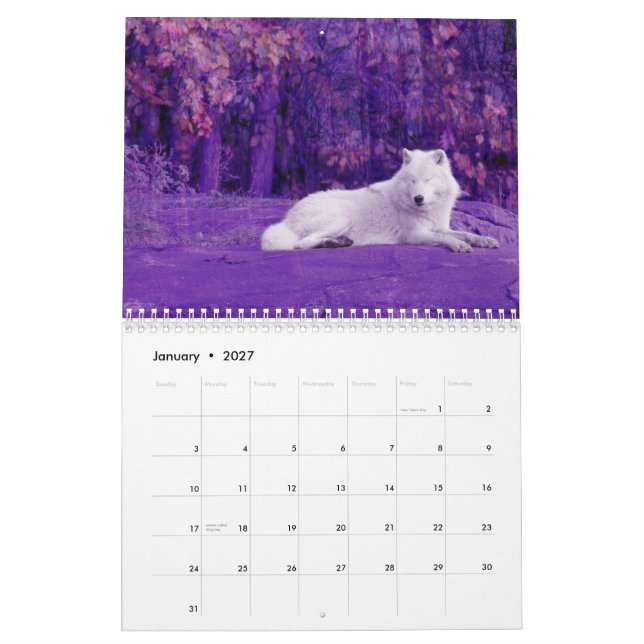 Calendário Os Lobos do Canadá (Calendário) (Jan 2027)