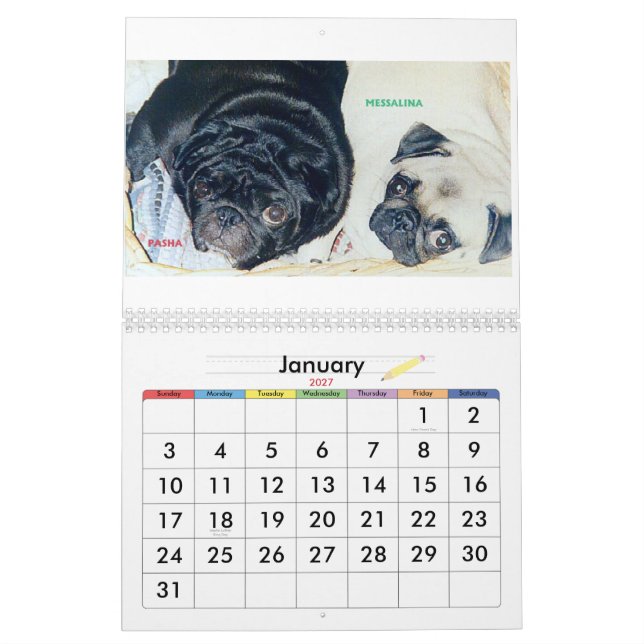 CALENDÁRIO OS MELHORES PUGS NO MUNDO (Jan 2027)