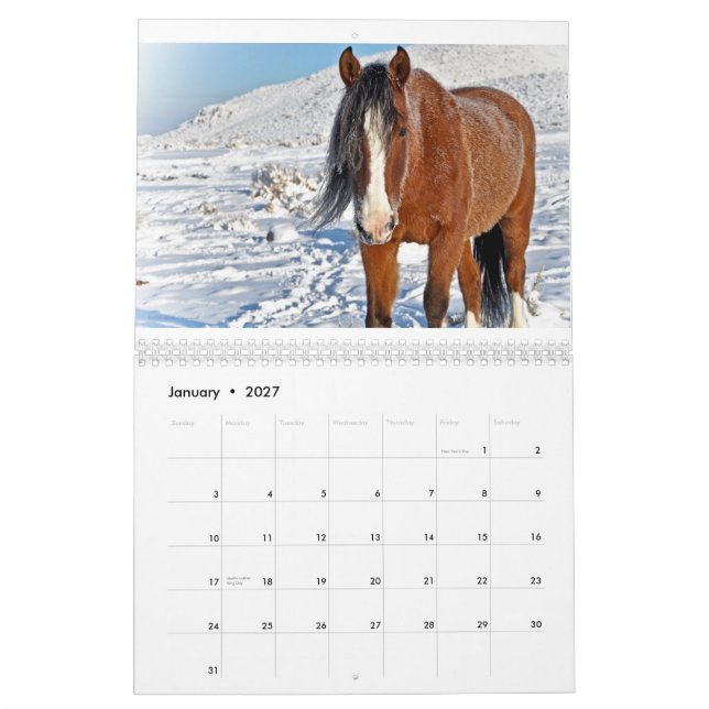 Calendário Os mustang pequenos os mais grandes 2011 da cidade (Jan 2027)