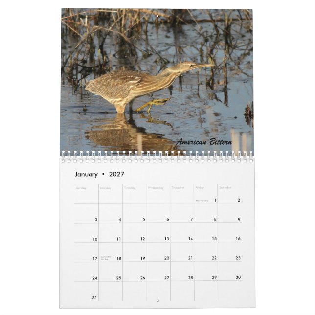 Calendário Os pássaros de Forsythe II (Jan 2027)