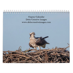 Calendário Osprey 2024
