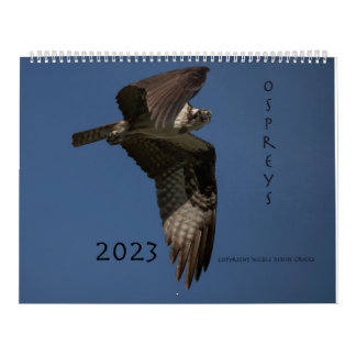 Calendário Ospreys Em Ação 2023