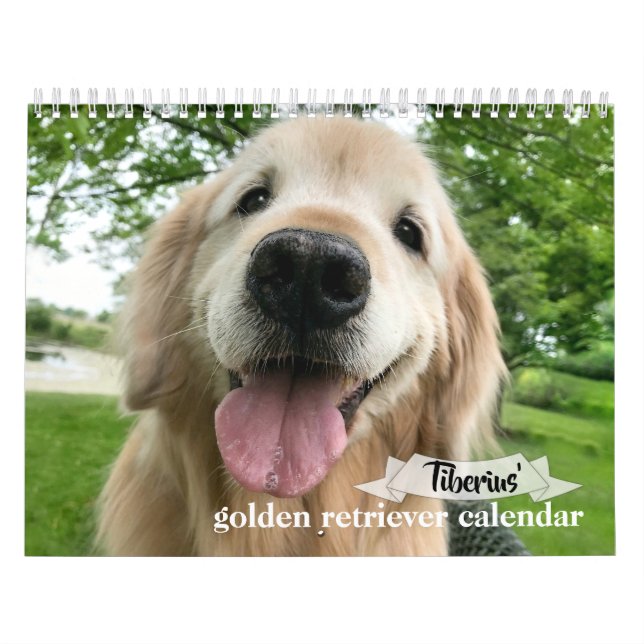 Calendário Ouro Tiberius 2020 (Capa)