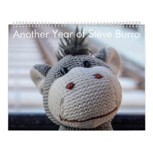 Calendário Outro Ano de Steve Burro