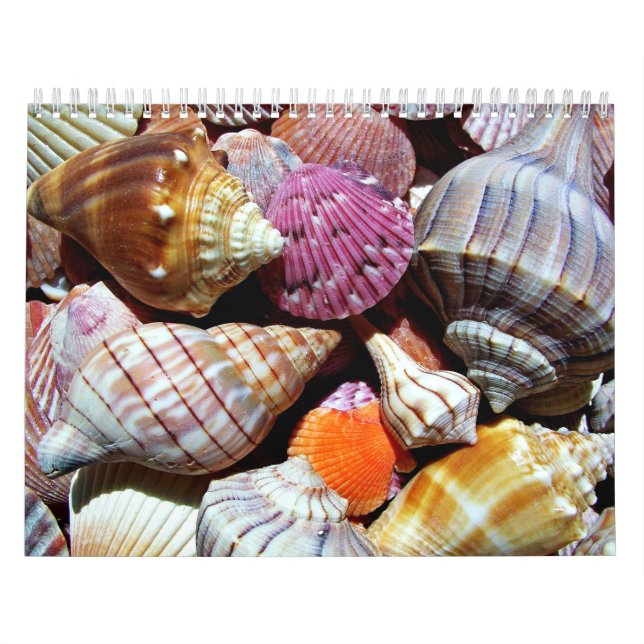 Calendário Padrão de concha marítima do oceano costeiro (Capa)