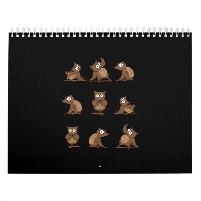 Calendário Padrão de Emoção Funny Owl (Capa)
