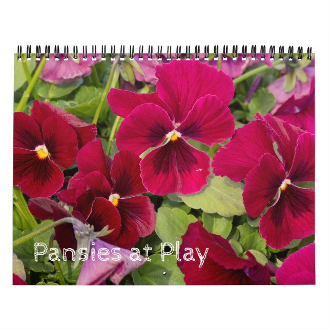 Calendário ~ Painéis em Reprodução (Capa)