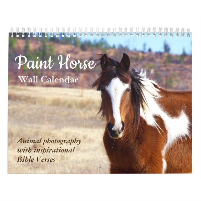 Calendário Paint Horse Calendar 2025 (Capa)