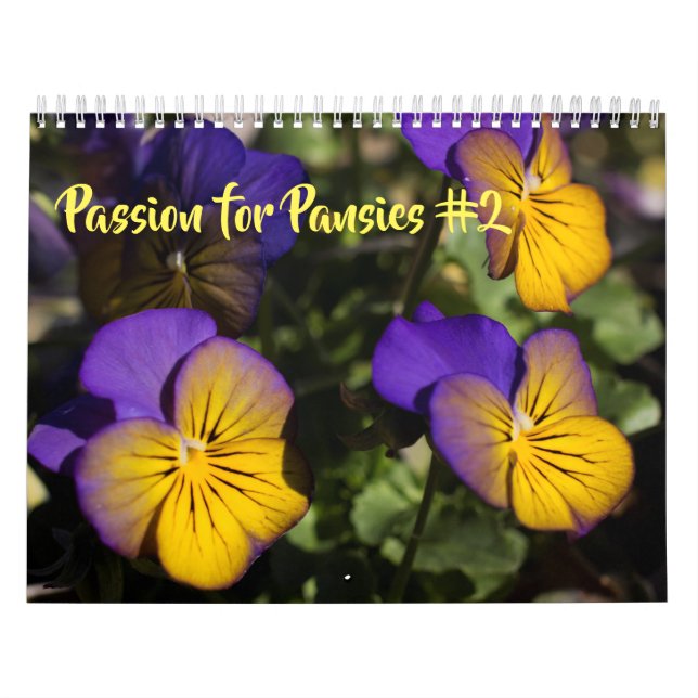 Calendário ~ Paixão para Panteras #2 (Capa)