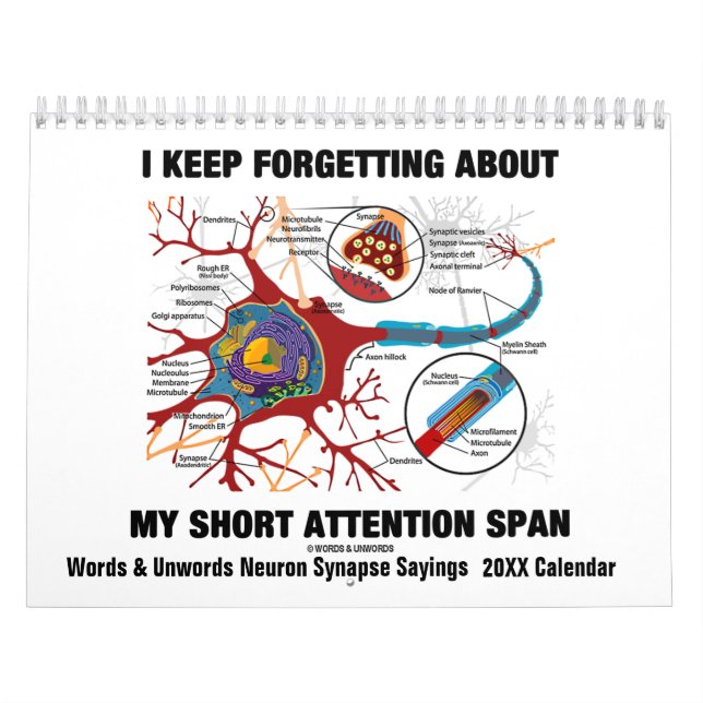 Calendário Palavras & provérbios 20XX da sinapse do neurônio (Capa)