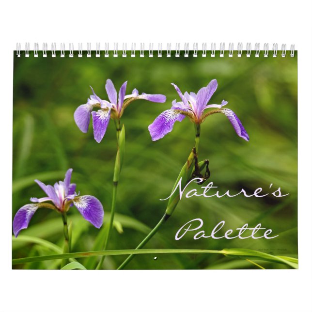 Calendário - Paleta da Natureza (Capa)