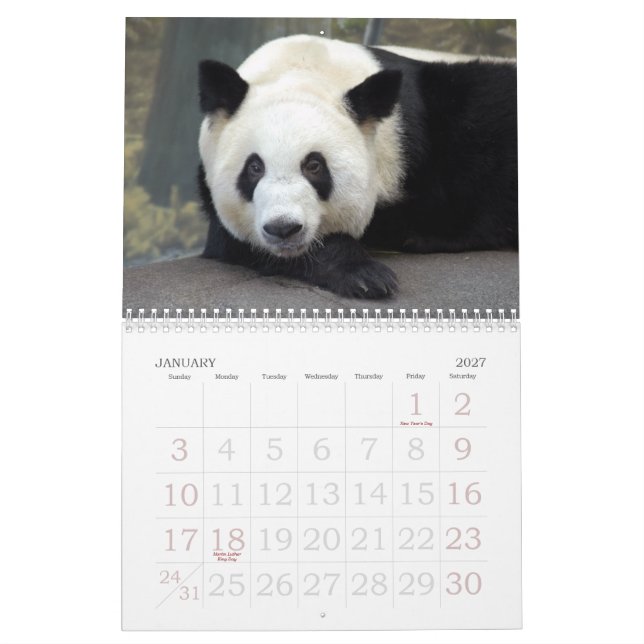 Calendário panda117, ursos de panda gigante (Jan 2027)