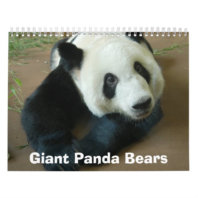 Calendário panda118, ursos de panda gigante (Capa)